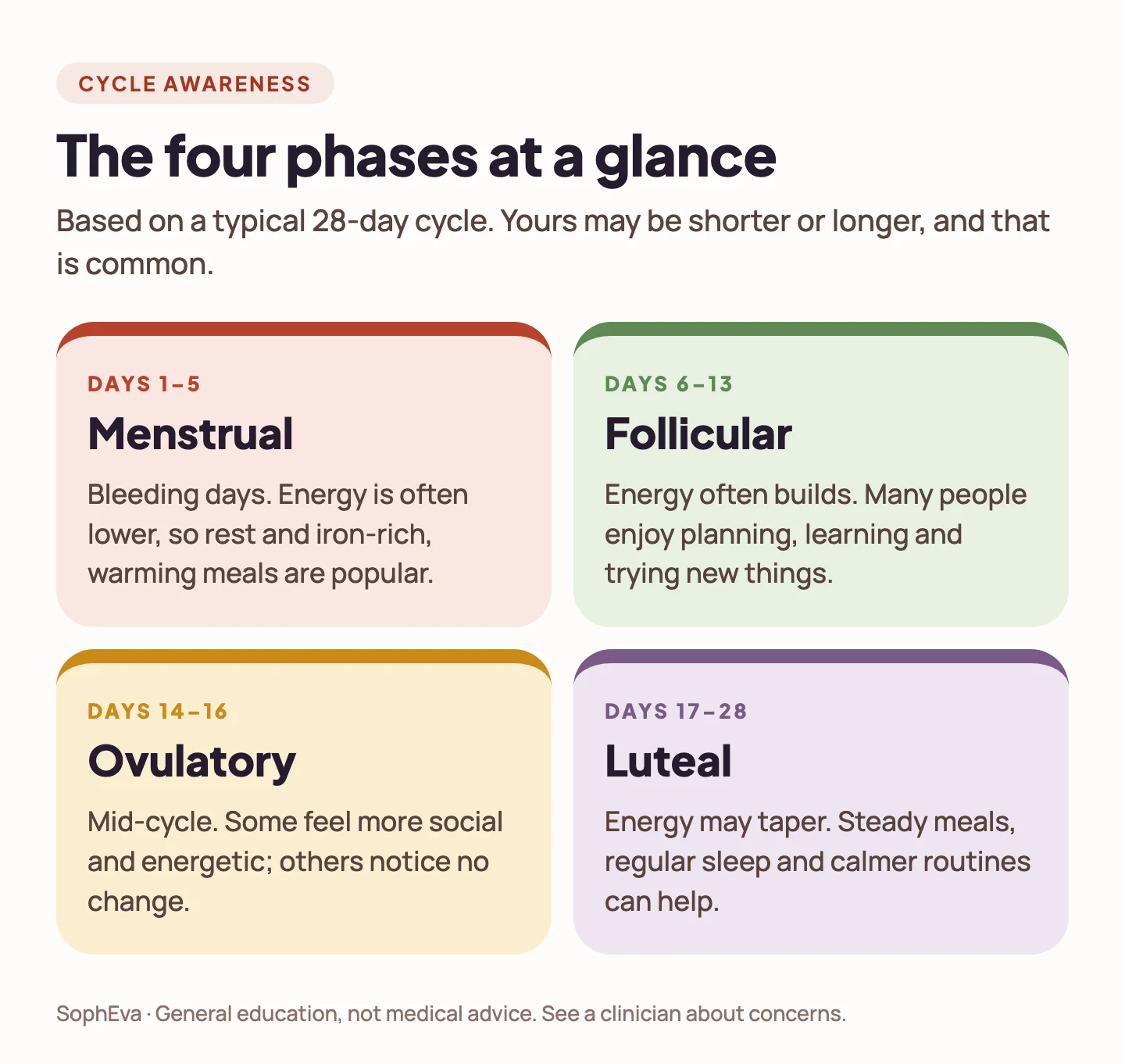 The four phases of a typical 28-day cycle: menstrual, follicular, ovulatory and luteal